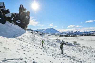Arthur’s Pass: TranzAlpine Train and Castle Hill Day Tour