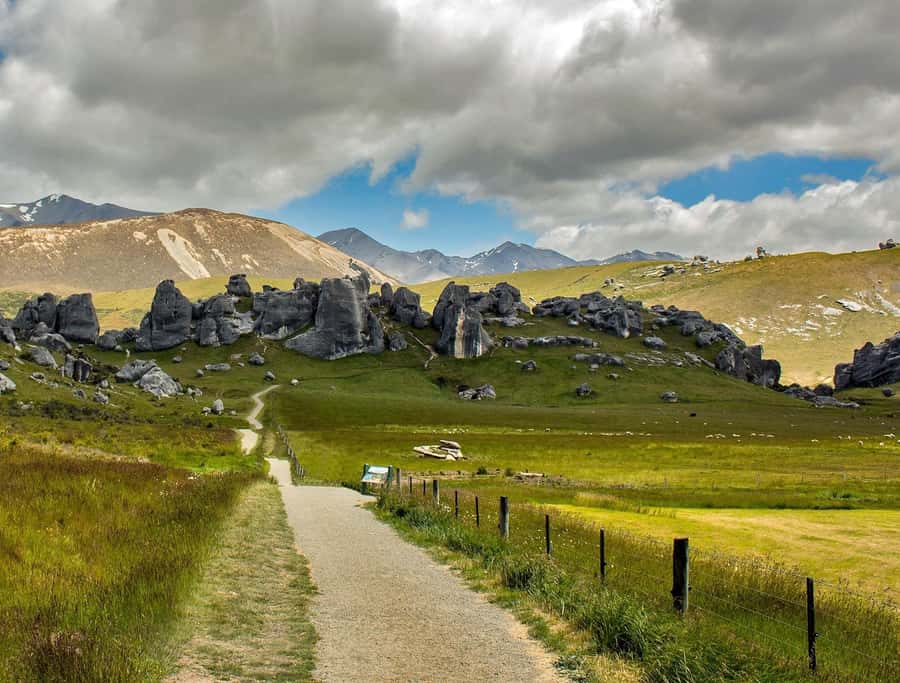 Arthur's Pass: TranzAlpine Train and Castle Hill Day Tour - Lunch takes planning