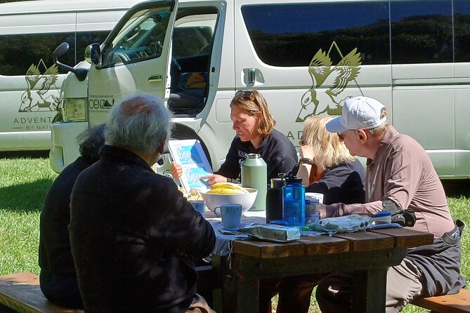 Arthur's Pass with optional TranzAlpine Train (Small Group Tour) - Is $340.69 good value?