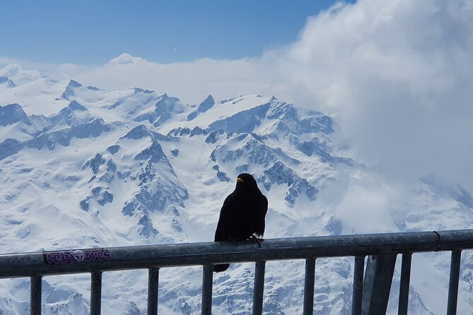 Attraction Ticket: Mt. Titlis by Train and Cableway from Lucerne - Is $277.15 per person good value?