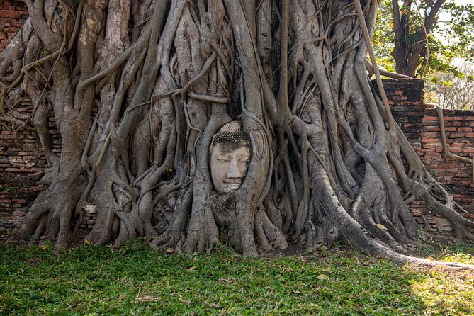 Ayutthaya, Maeklong Railway, Damnoen Saduak Floating Market - Wat Mahathat and the Buddha head in tree roots