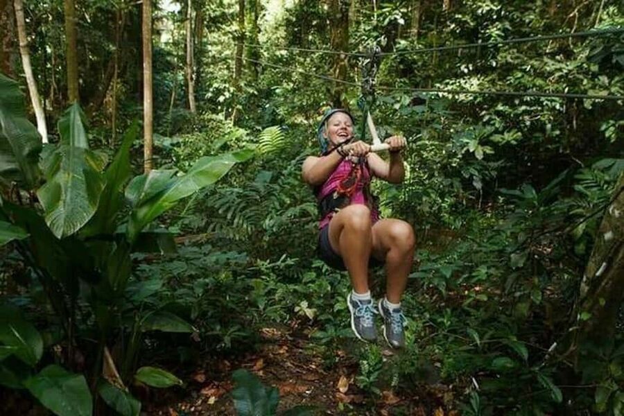 Babonneau/Castries: Rainforest Zip Line, Tram, and Hike Tour - Key points at a glance