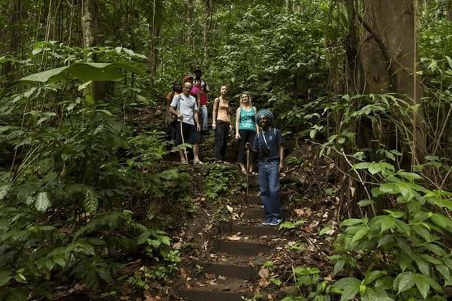 Babonneau/Castries: Rainforest Zip Line, Tram, and Hike Tour - Three ways to see the Castries Waterworks Reserve