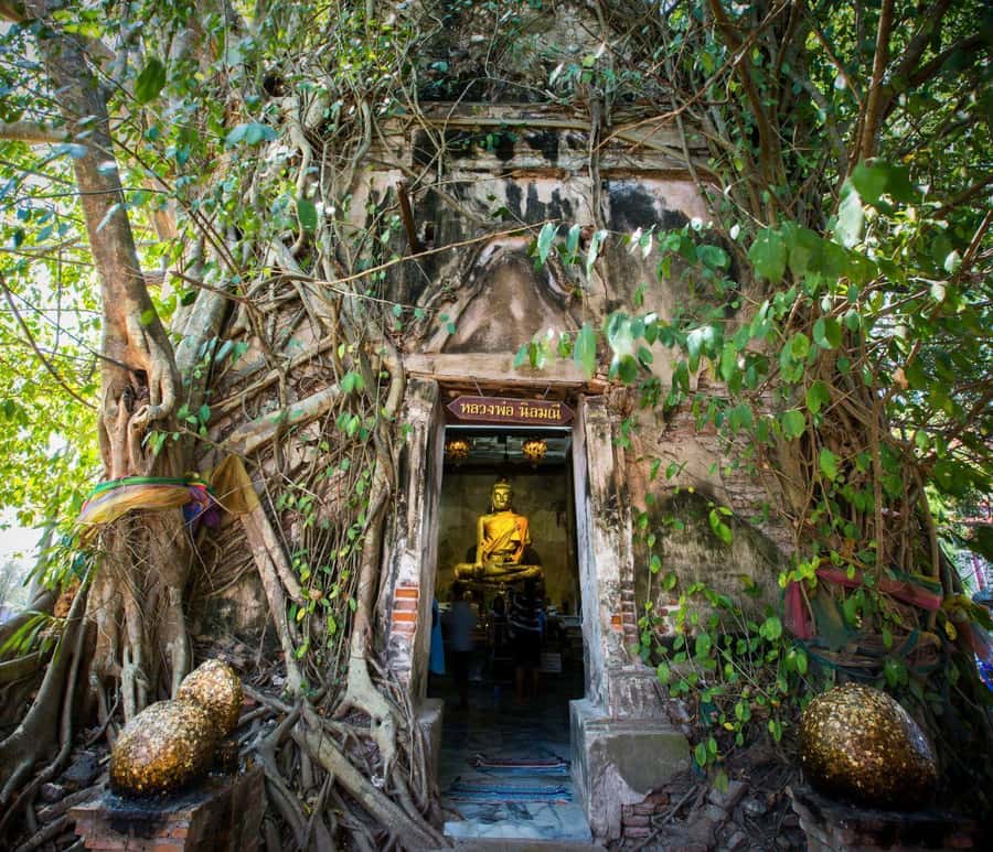Bangkok: Amphawa Floating & Railway Markets Guided Day Tour - Two hours to eat, shop, and wander