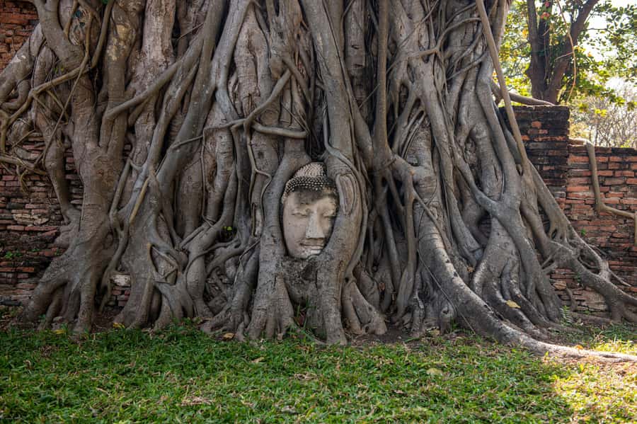 Bangkok: Ayutthaya, Railway & Floating Markets Full-Day Tour - Transport, pickup, and what to pack