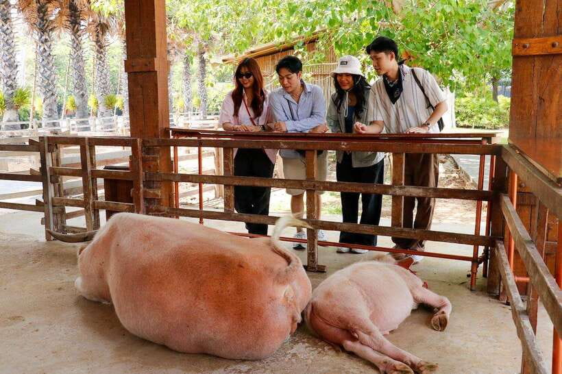 Bangkok: Damnoen Saduak and Train Market with Boat Ride - Lao Tuk Luck offers a quieter market contrast