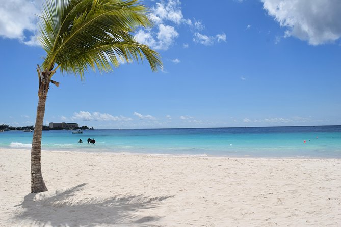 Barbados Harrison's Cave Tram Tour and Boat Cruise Snorkel Adventure - Why this Barbados combination tour works