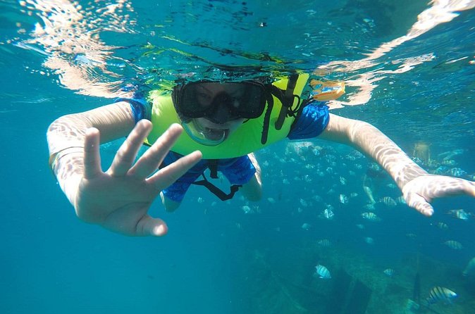 Barbados Harrison's Cave Tram Tour and Boat Cruise Snorkel Adventure - What Tranquility Cruises provides