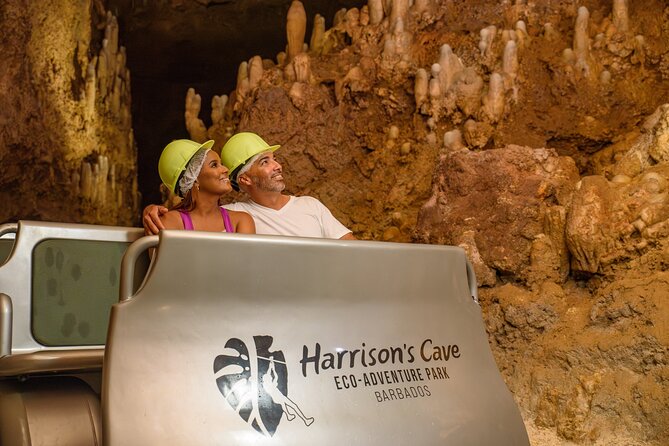 Barbados Tastes and Tales and Harrisons Cave Signature Tram Tour - Birds, crafts, and a Green Monkey break