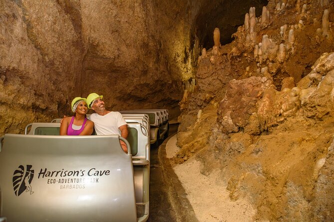 Barbados Tastes and Tales and Harrisons Cave Signature Tram Tour - A practical value check at $150