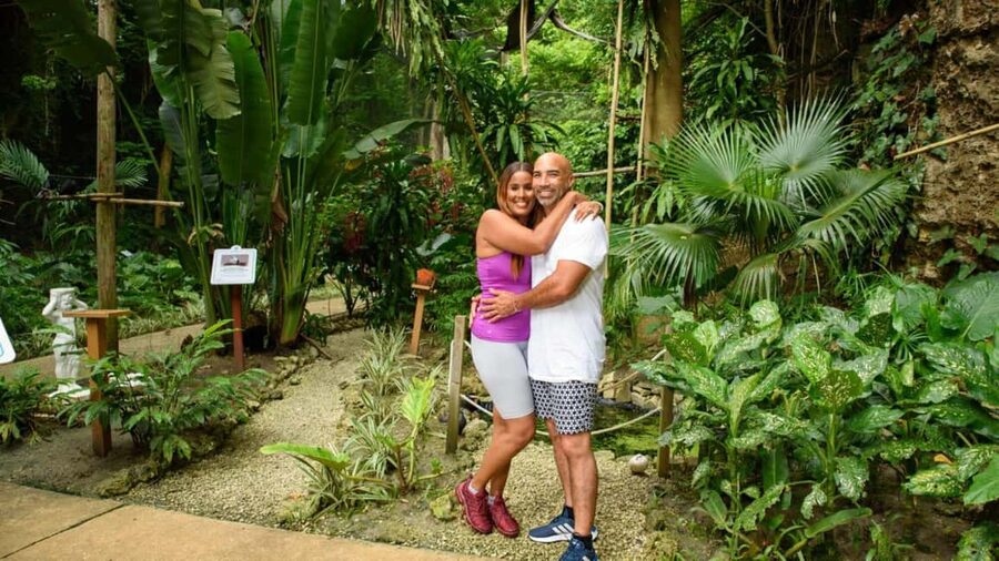 Barbados: Trail, Tram & Rum Experience - Should you book the Trail, Tram & Rum Experience?
