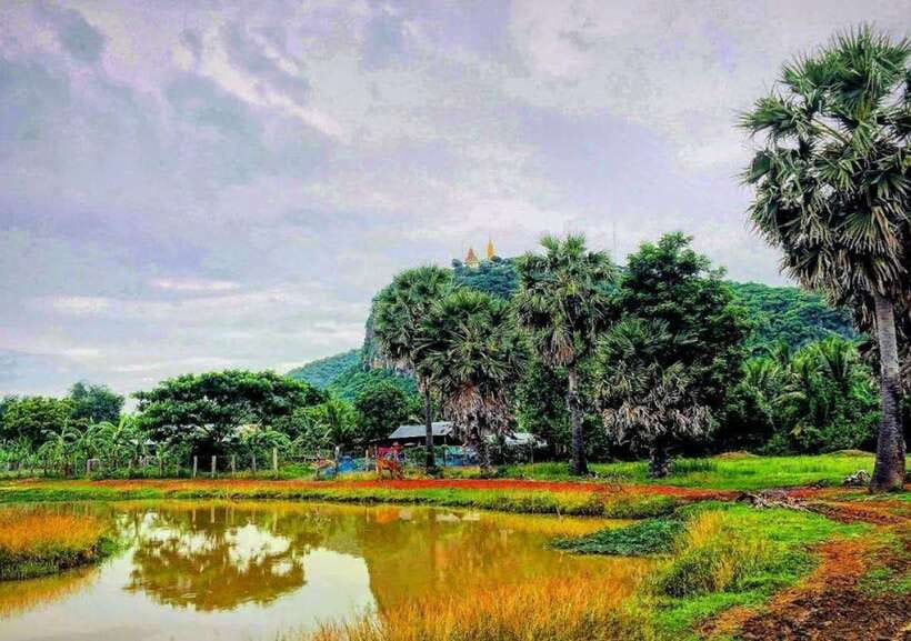 Battambang: Bamboo Train, Bat Cave, Killing Cave by Tuk Tuk - Cost, comfort, and what to pack