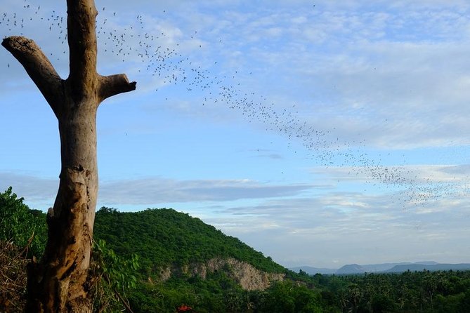 Battambang Full Day Tour from Siem Reap - Bamboo Train, Killing Cave & Sunset - Phnom Sampeau and the evening bat flight