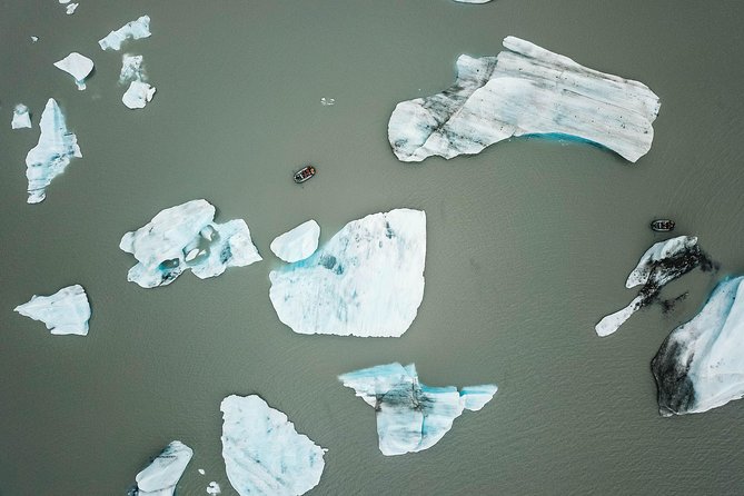 Bears, Trains & Icebergs Tour - Guides make the difference