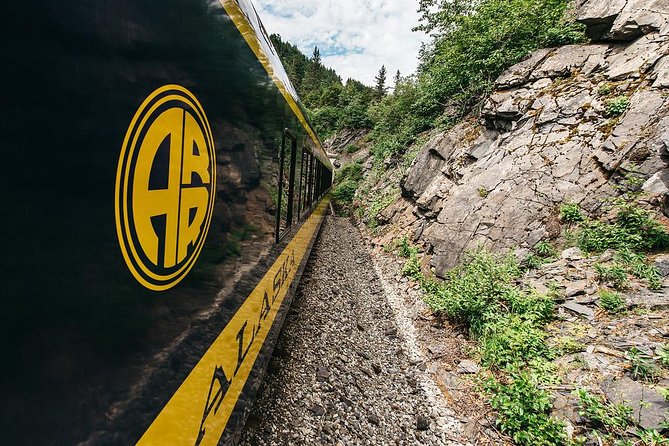 Bears, Trains & Icebergs Tour - Should you book the Bears, Trains & Icebergs Tour?