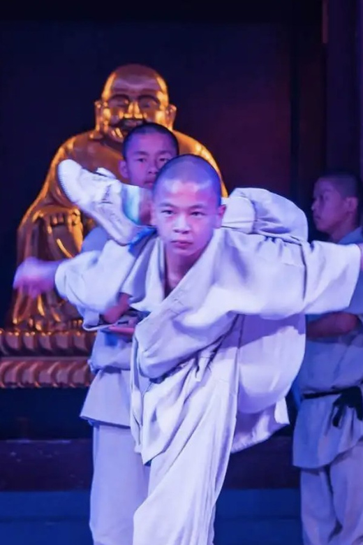 Beijing:Bullet Train Day Tour to Shaolin Temple&Martial Arts - The Pagoda Forest and its long record