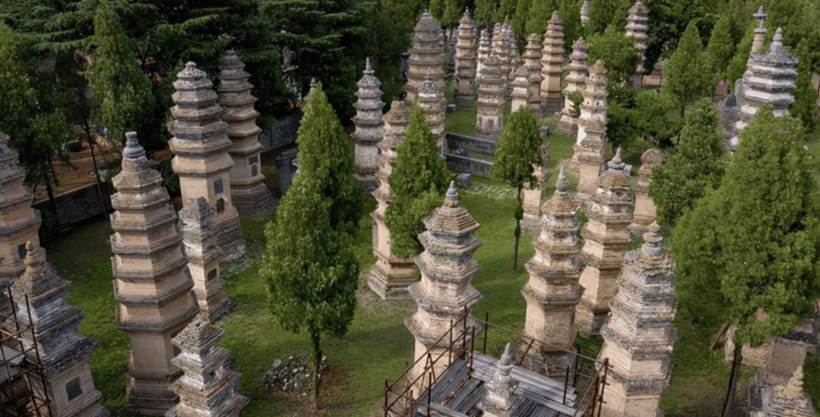 Beijing:Bullet Train Day Tour to Shaolin Temple&Martial Arts - Who should book this day trip?