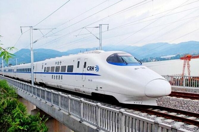 Beijing Great Wall Private Day Tour from Shanghai by Bullet Train - Cableway up, toboggan down
