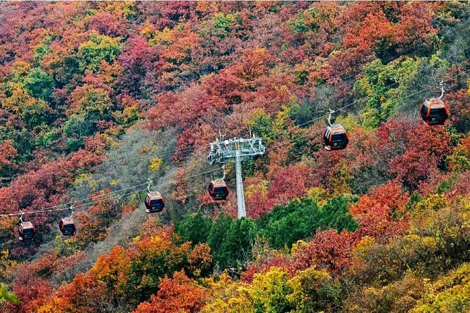 Beijing Great Wall Private Day Tour from Shanghai by Bullet Train - The 6 a.m. Shanghai pickup and bullet train