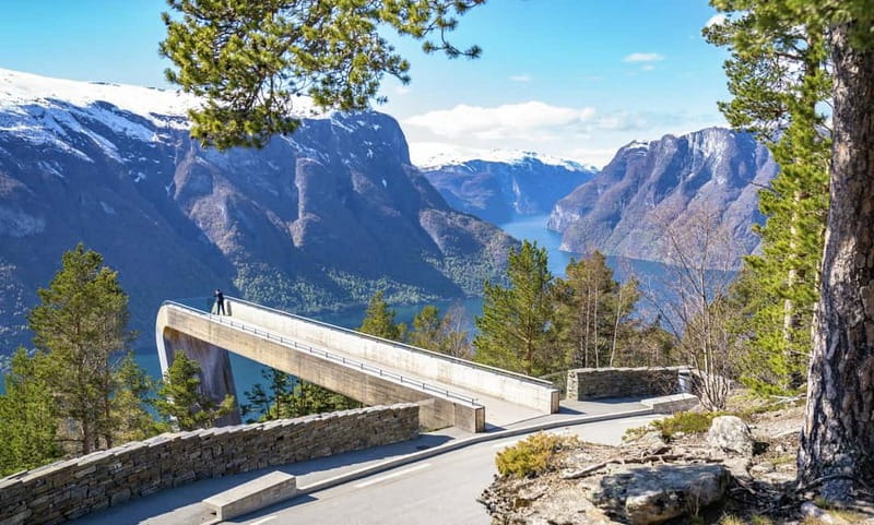 Bergen: Flam Railway, Viking Village Tour with Fjord Cruise - Why this Bergen to Flåm day works