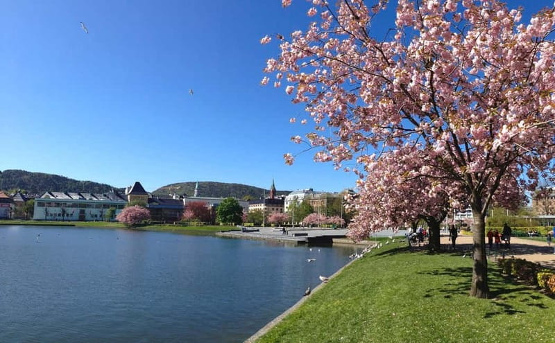 Bergen: Flam Railway, Viking Village Tour with Fjord Cruise - Flåm’s harbor, wooden houses, and lunch