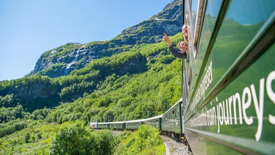 Bergen: Private Day Tour, Nærøyfjord Cruise and Flåm Railway - Njardarheimr Viking Village at Gudvangen