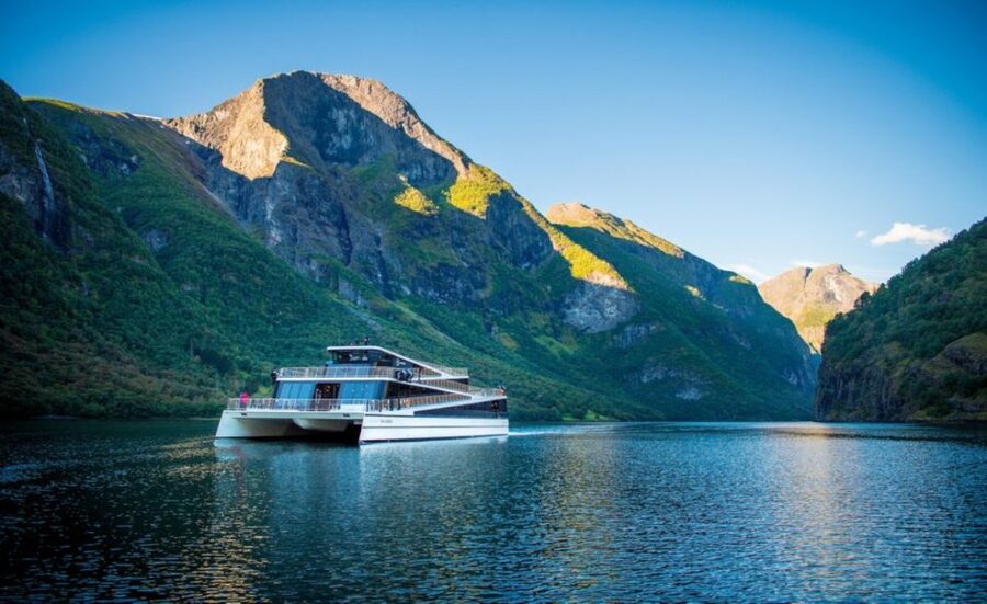 Bergen: Private Day Tour, Nærøyfjord Cruise and Flåm Railway - Cruising the narrow Nærøyfjord