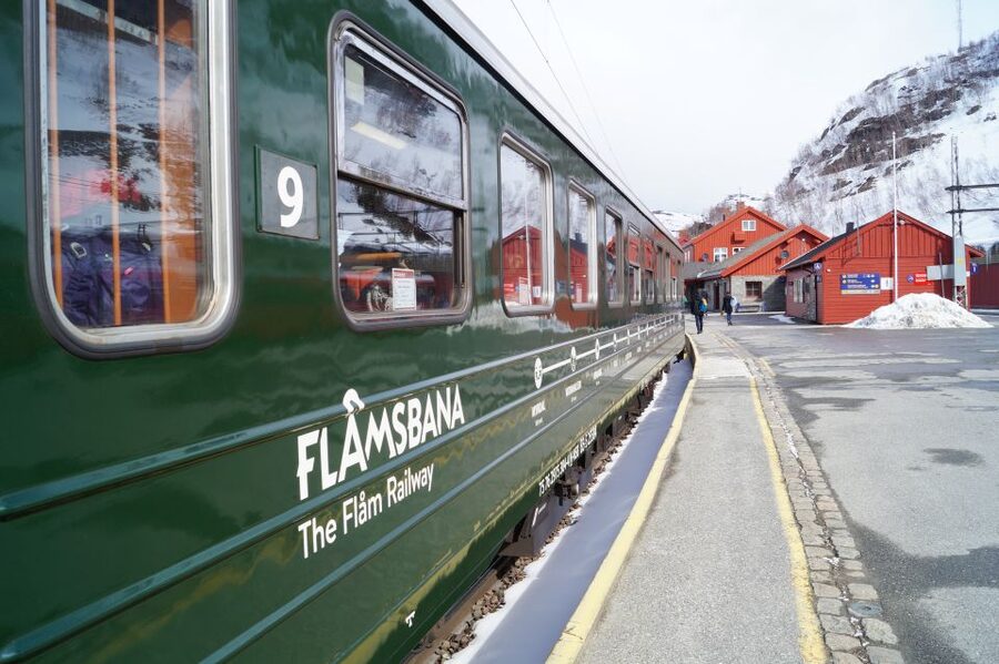 Bergen: Viking Village, Nærøyfjord Cruise & Flåm Railway - Why this Bergen day trip covers so much