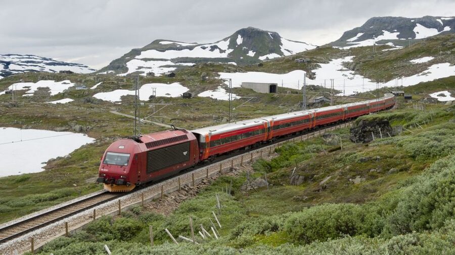 Bergen: Viking Village, Nærøyfjord Cruise & Flåm Railway - What the $418 price really buys you