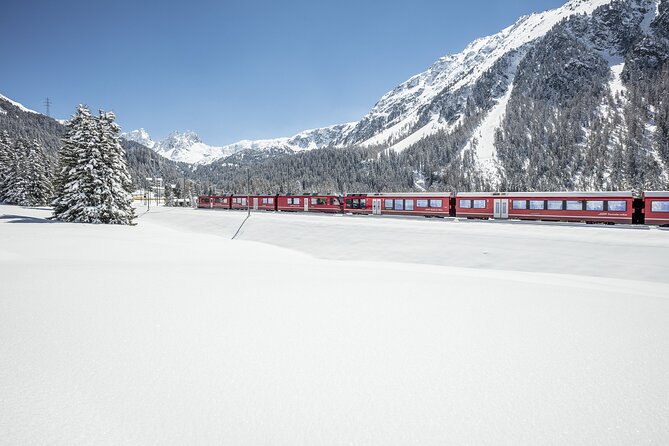 Bernina Red Train And St Moritz Tour from Milan - Practical tips for a smoother day