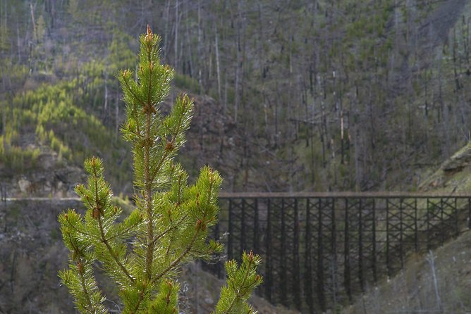 Bicyle Tour on Historical Kettle Valley Railway from Myra Canyon to Penticton - Beyond Chute Lake, look for the rock ovens
