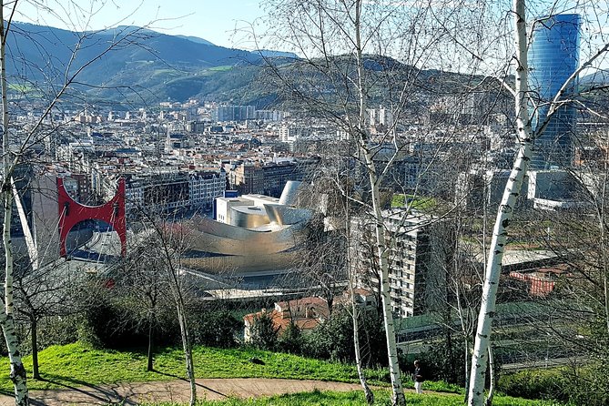Bilbao Tour + Artxanda Funicular in Spanish - Who will enjoy this short Bilbao tour