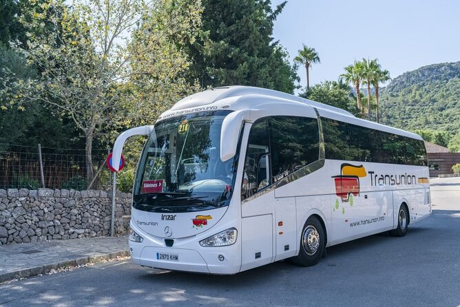 Boat, Tram and Train Tour in Mallorca from the South - The wooden train and historic tram
