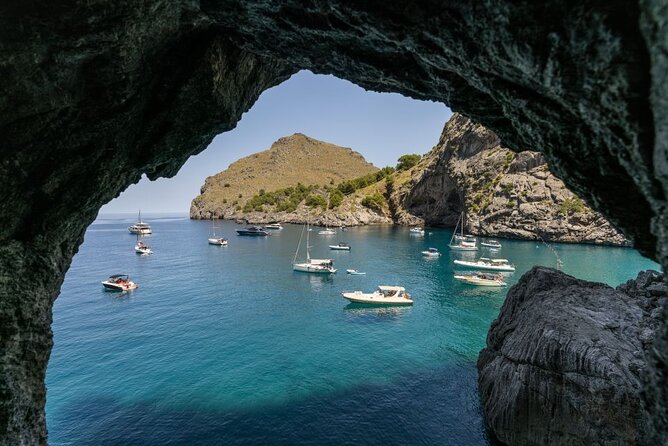 Boat, Tram and Train Tour in Mallorca from the South - The guide can make the tight schedule easier