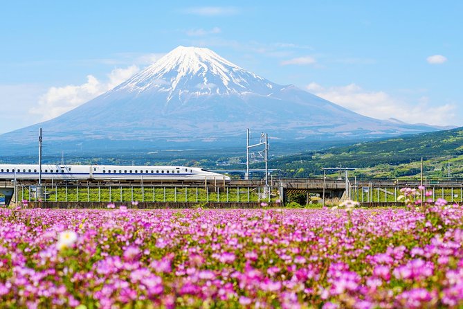 Bullet Train and Mt. Fuji Famous Food Tour - Three hours of Fujinomiya food and local shops