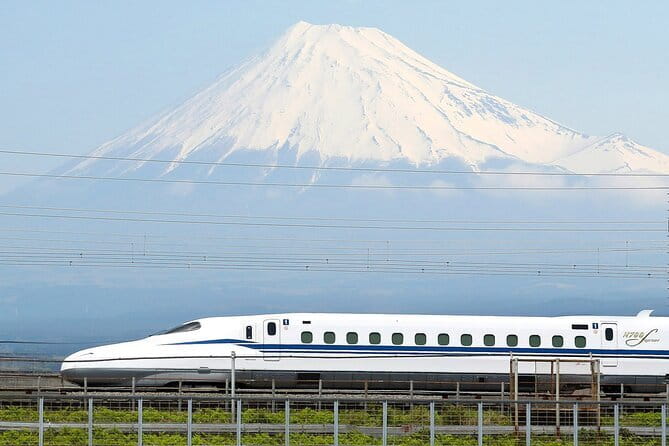 Bullet Train Experience & Mishima Shrine Private Tour from Tokyo - Key points to know before booking