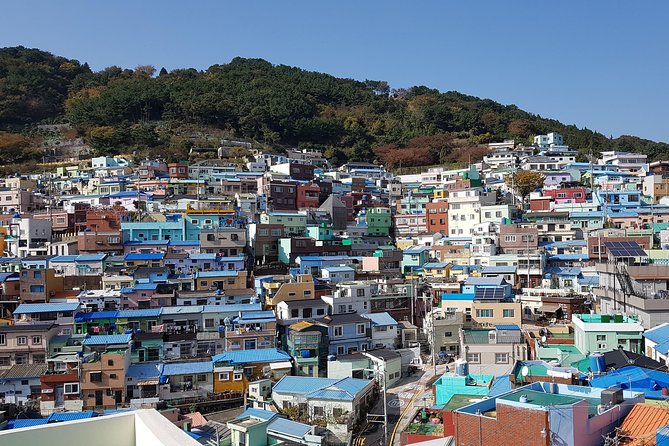 Busan city tour from Seoul by KTX bullet train - Jagalchi Market and Busan’s seafood identity