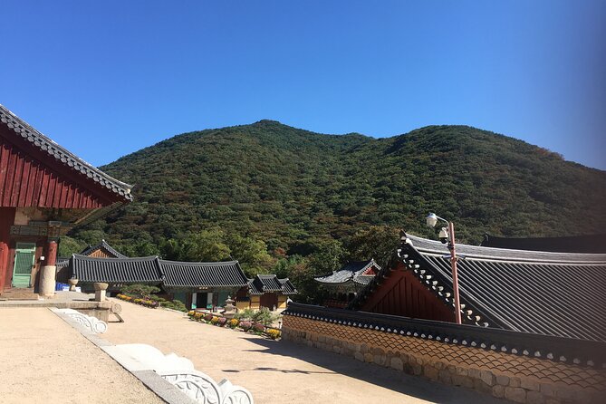 Busan day trip including Gamcheon culture village from Seoul by KTX train - Lunch, transport, and what the price really covers