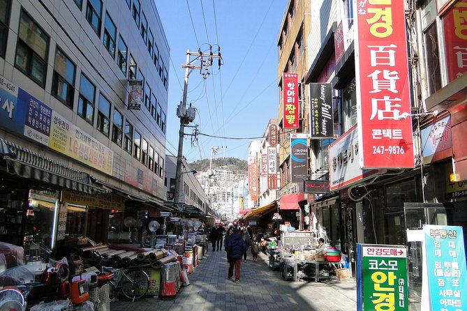 Busan day trip including Gamcheon culture village from Seoul by KTX train - Jagalchi Fish Market and the working side of Busan