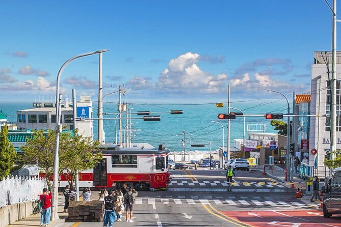 Busan Full-Day City Tour with Gamcheon Village, Sea Temple & more - Why this Busan day tour works