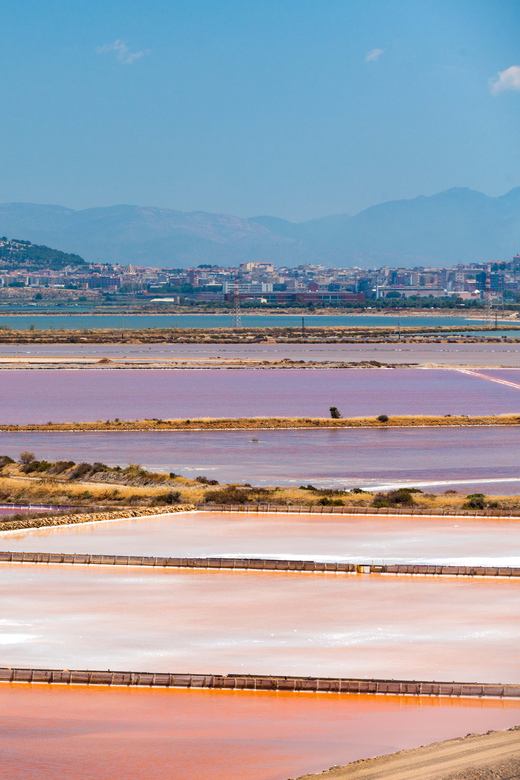 Cagliari: Conti Vecchi Salt Flats Train and Tour - How good is the value at $14?