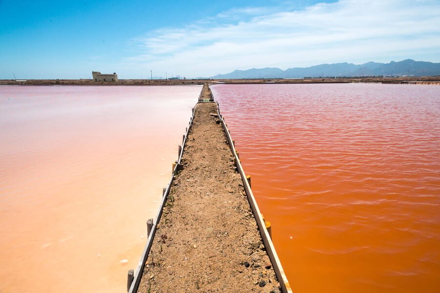 Cagliari: Conti Vecchi Salt Flats Train and Tour - Who will enjoy the Conti Vecchi Saltworks most?