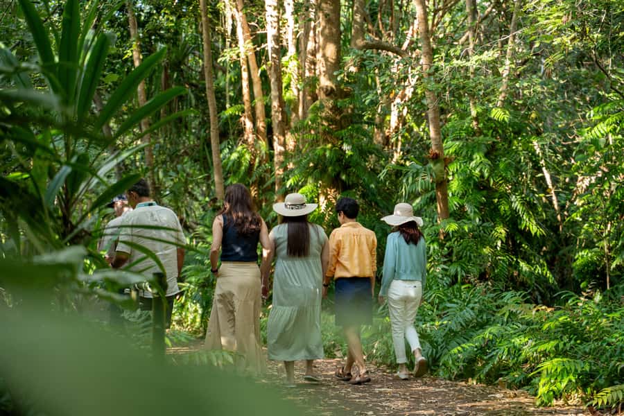 Cairns: Cattana Wetlands, Barron Falls & Kuranda Railway - Key points to know before booking