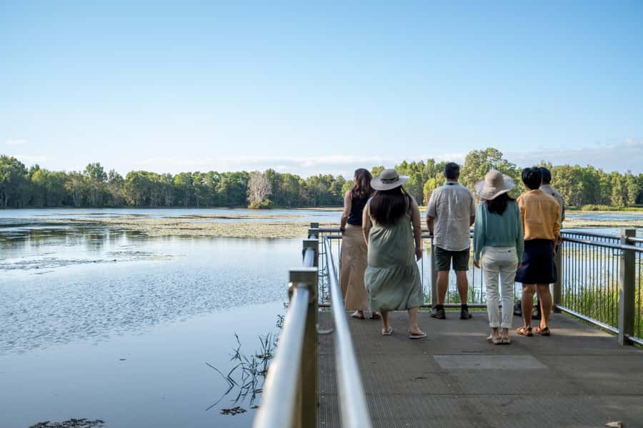 Cairns: Cattana Wetlands, Barron Falls & Kuranda Railway - A full day that connects rainforest, food, and culture