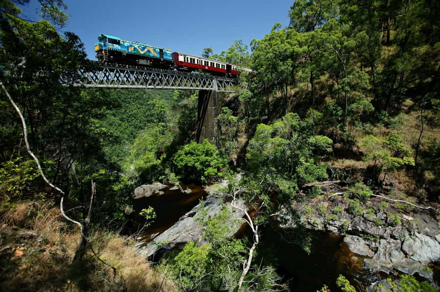Cairns: Cattana Wetlands, Barron Falls & Kuranda Railway - Lunch and tastings at Skybury Coffee Plantation