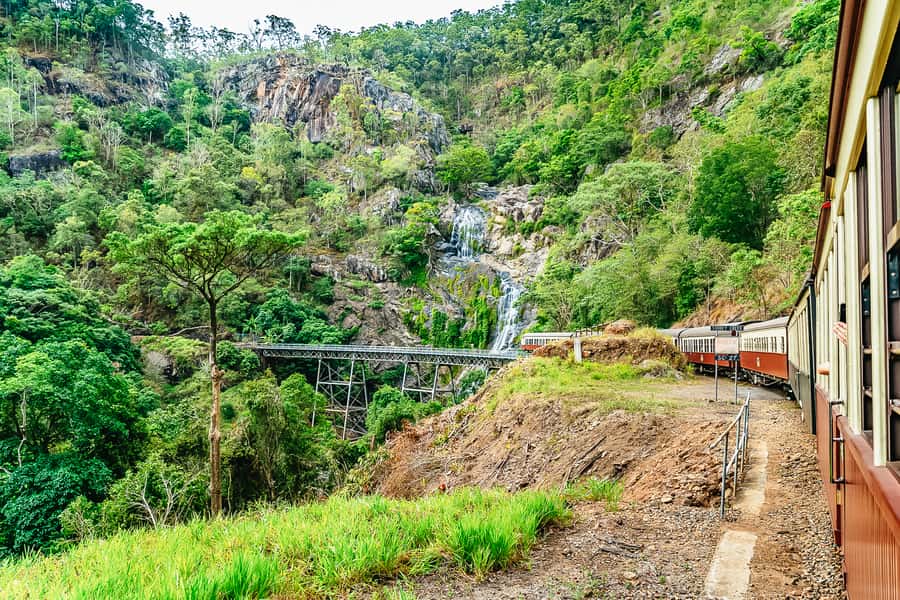 Cairns: Skyrail, Kuranda, and Rail Tour with Hotel Transfers - What the $147 price really covers