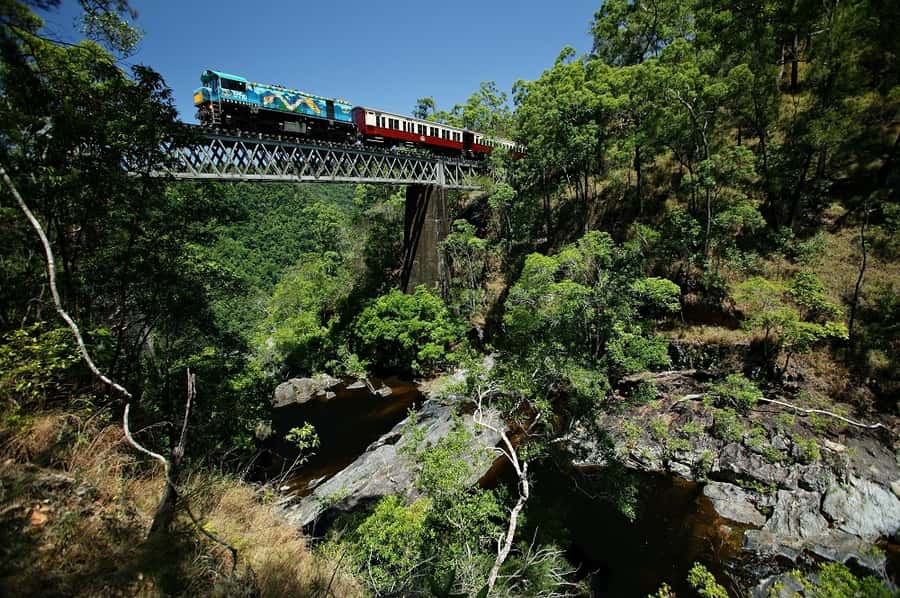 Cairns: Skyrail, Kuranda, and Rail Tour with Hotel Transfers - Riding Skyrail above the rainforest