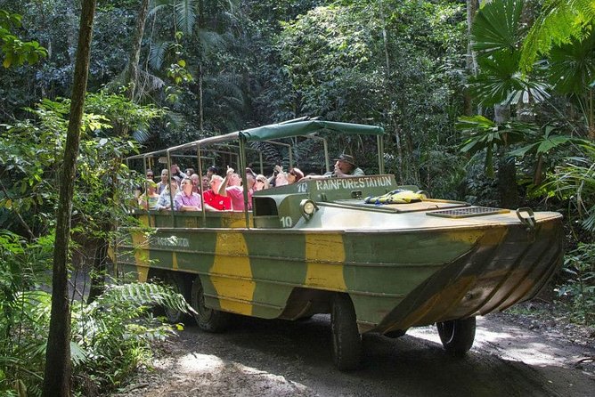 Cairns Small-Group Kuranda Tour: Skyrail & Scenic Railway - Why the Skyrail and railway combination works