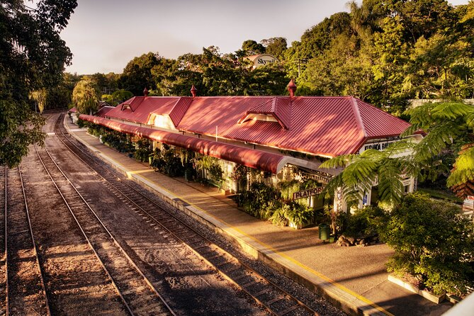 Cairns Small-Group Kuranda Tour: Skyrail & Scenic Railway - What the guide adds to the day