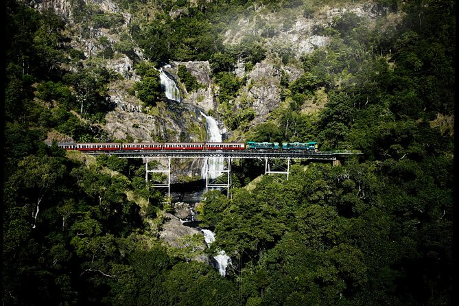 Cairns Super Saver: Reef Cruise, Daintree & Kuranda Rail/Skyrail - Practical tips for making the three days easier